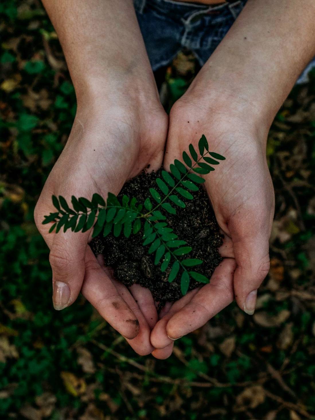 Notre démarche environnement